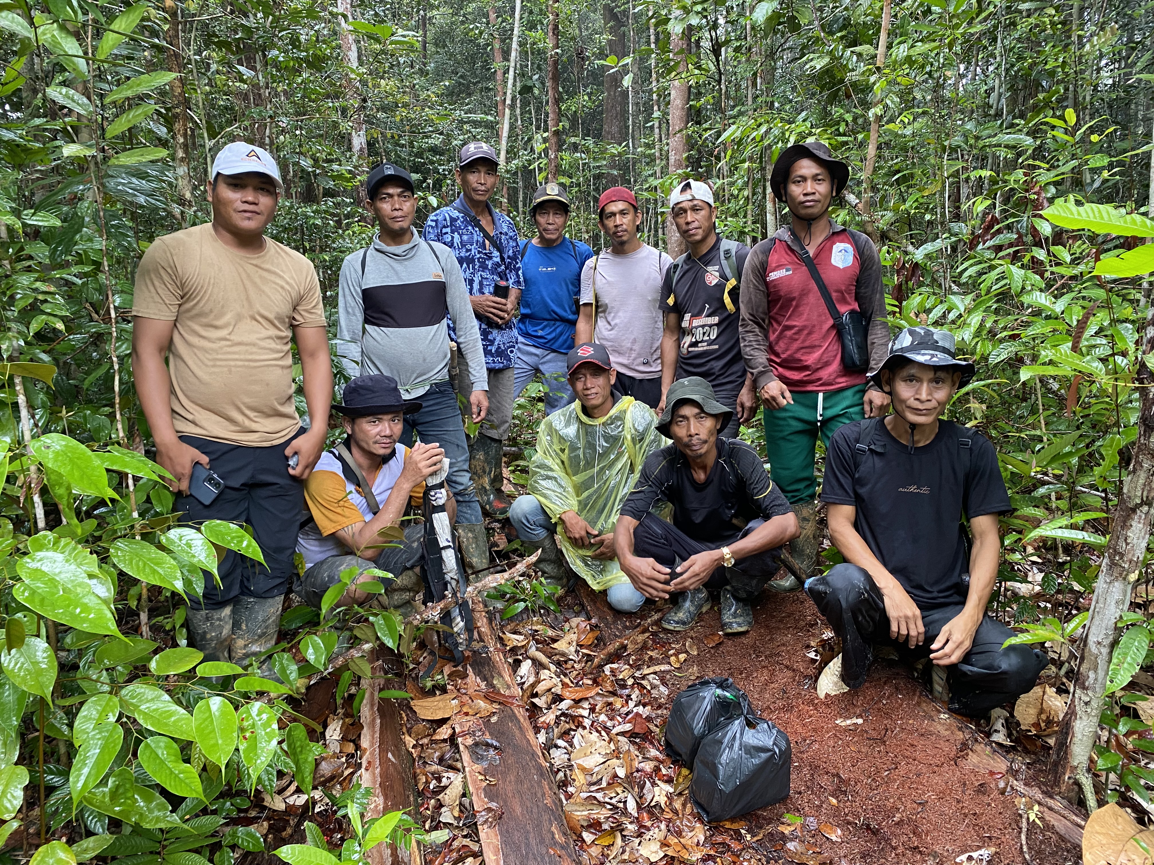 Field documentation