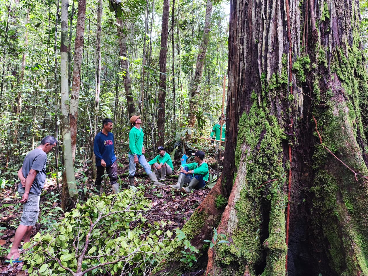 Field documentation